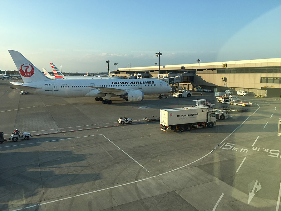 Japan Airlines plane on the ground at Narita airport.