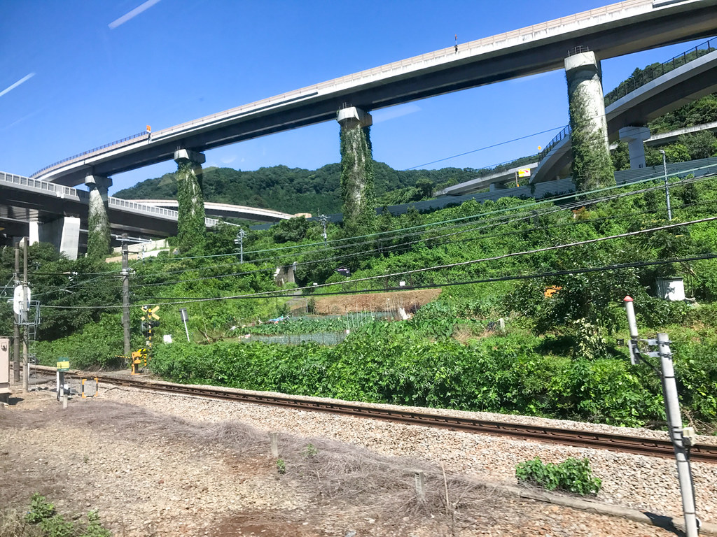 The view from the train to Mt Fuji