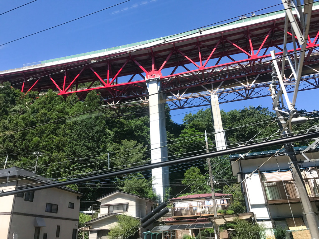 The view from the train to Mt Fuji