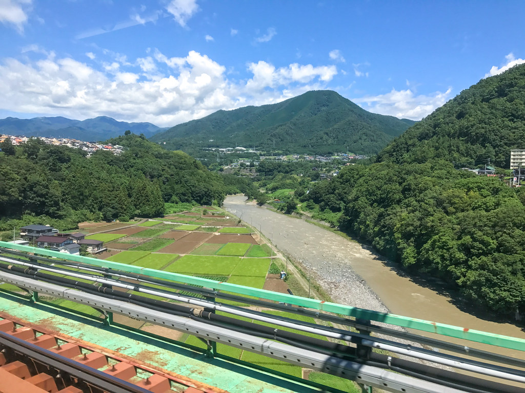 The view from the train to Mt Fuji