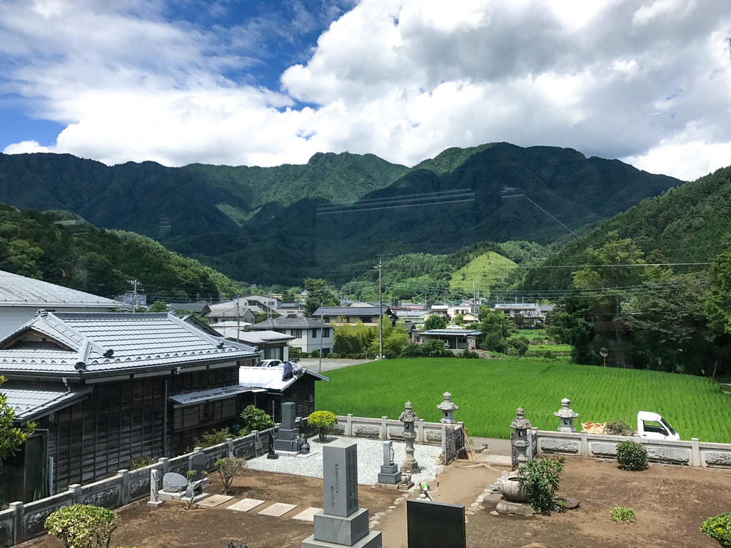 The view from the train to Mt Fuji