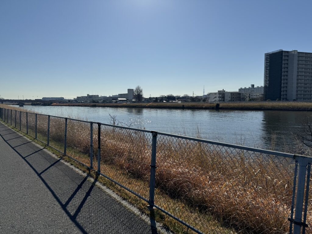 A river behind a mesh fence. Buildings on the other side of the river. Yellow grass lines the riverbanks. Blue sky