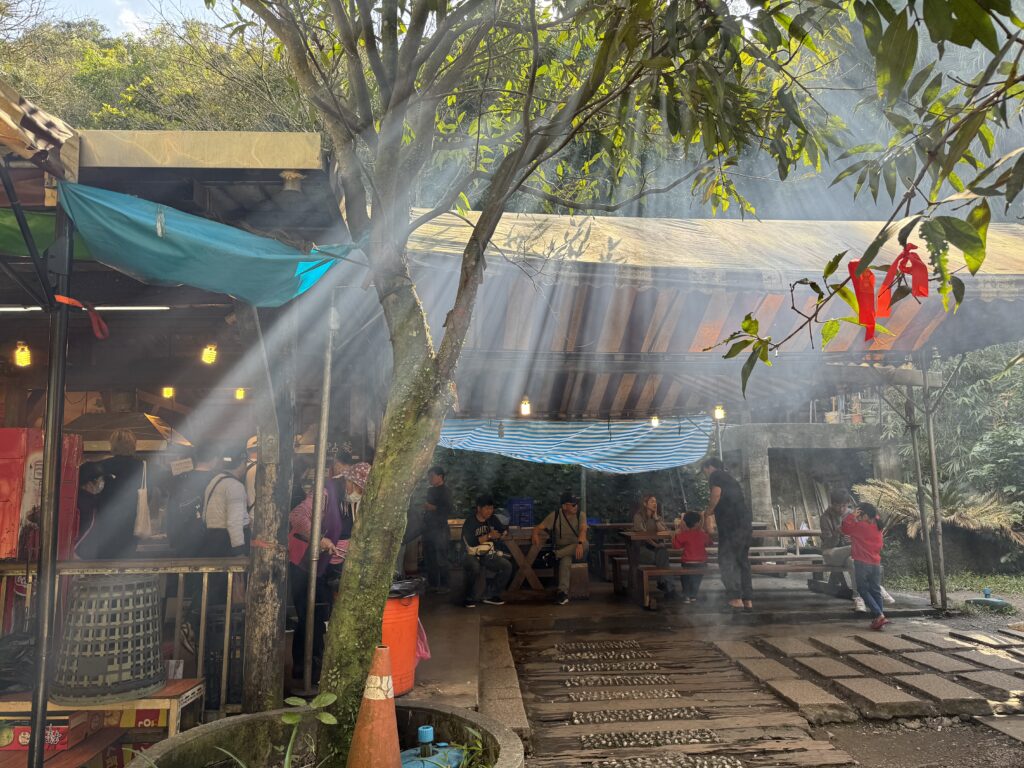 Stalls in a forest. Light beams pierce the tree canopy.