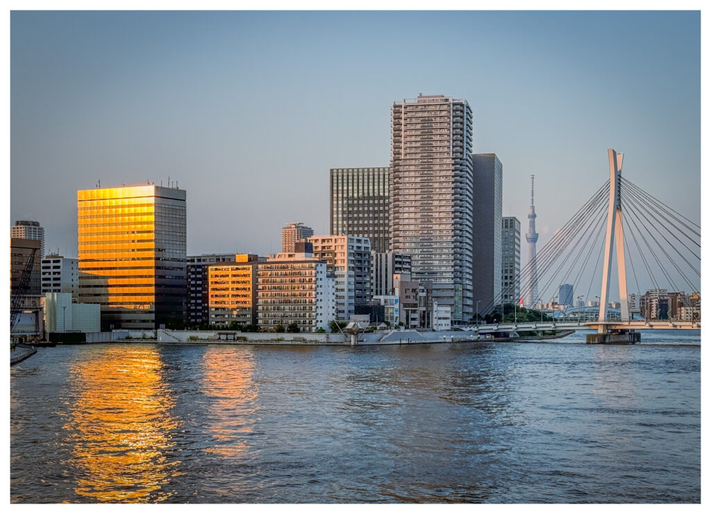 A suspension bridge on a river, and nearby several buildings. In the background, Tokyo Skytree is visible. Golden sunlight reflects on the water.