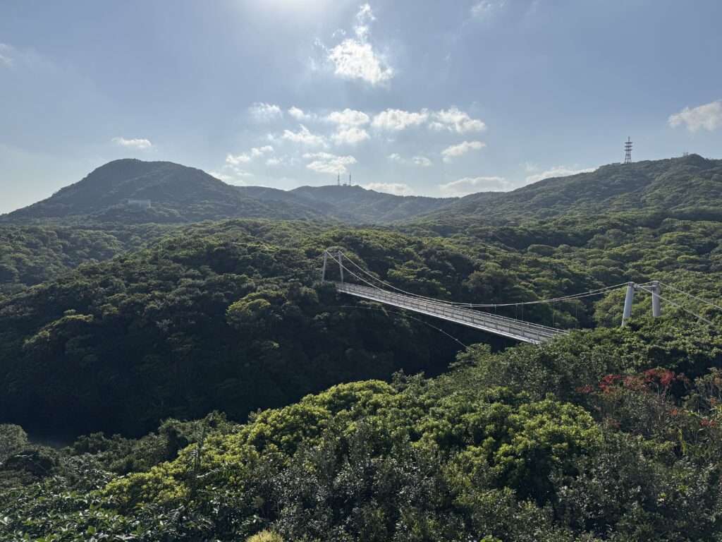 Photograph from Ishigaki island, Okinawa (Japan). Along a nature trail surrounded by trees.